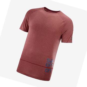 Camiseta Salomon CROSS RUN GRAPHIC Hombre Rojos | MX 3225MQZ